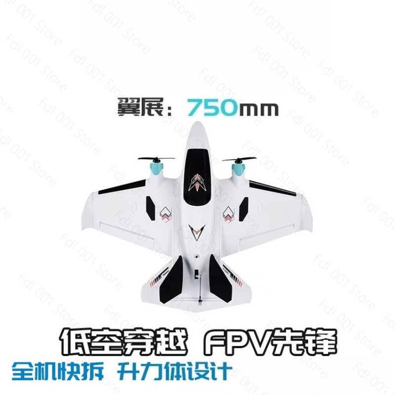 듀얼 모터 FPV 고정익 RC 비행기 레이싱 드론 휴대 - Drone Rc 리뷰 및 가격